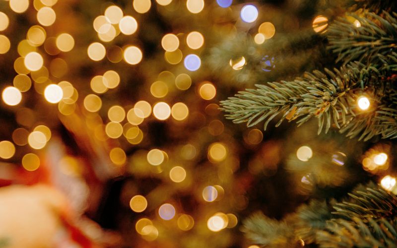 Un mois de décembre au Golden Lakes