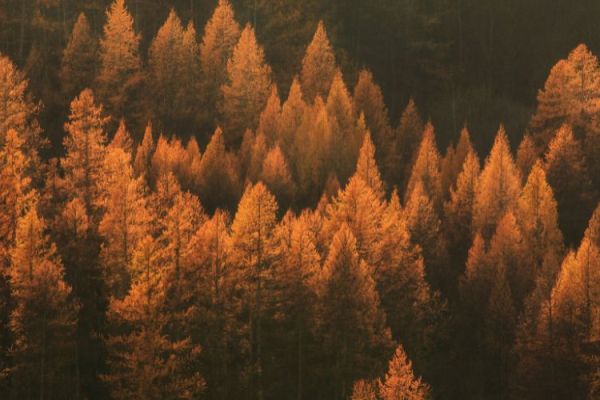 Les activités d'automne et d'Halloween