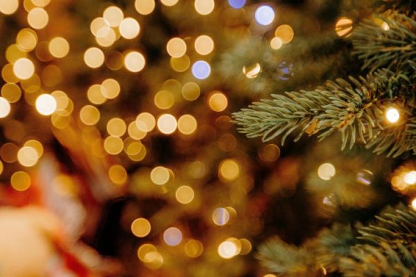 A December at Golden Lakes