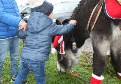 visite-pere-noel-lacs-eau-d-heure 14